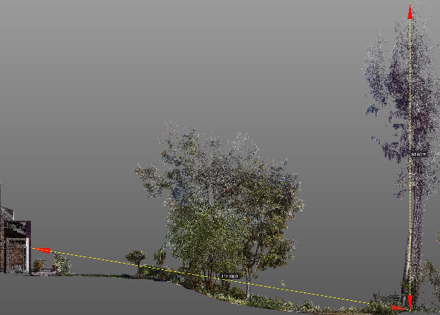 3D point-cloud view of tall eucalyptus trees beside a house and deck, surveyed for height and lean