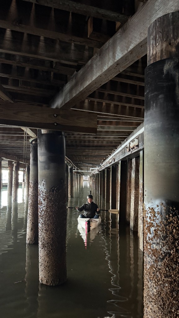 Kayaker paddling under the pier between barnacle-covered pilings, wooden beams overhead