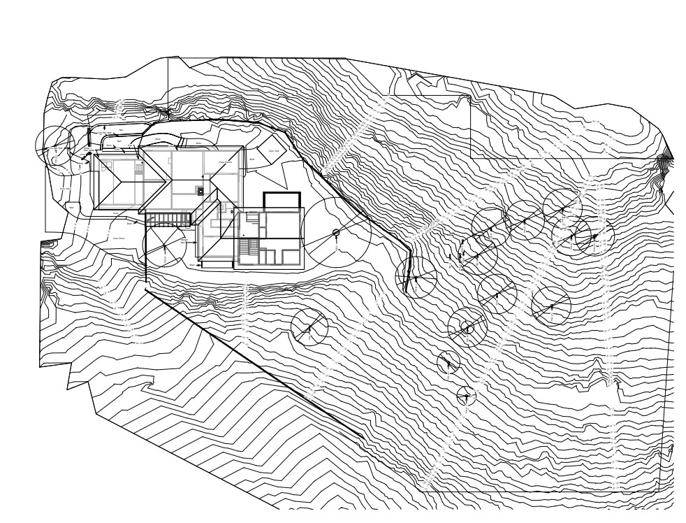 Sample site plan with topography and trees, 51 Broadview, San Rafael